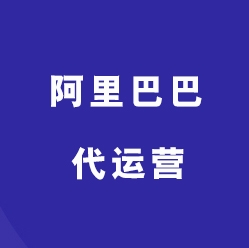 阿里巴巴代运营