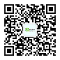 东莞网站建设